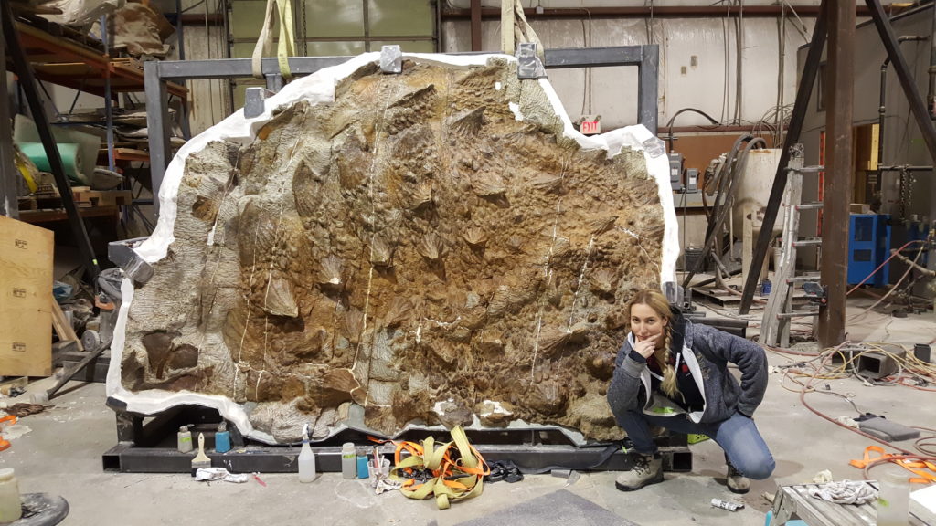 Deanna leans down in front of a fossil during her time as a Fossil Preparator at Research Casting International