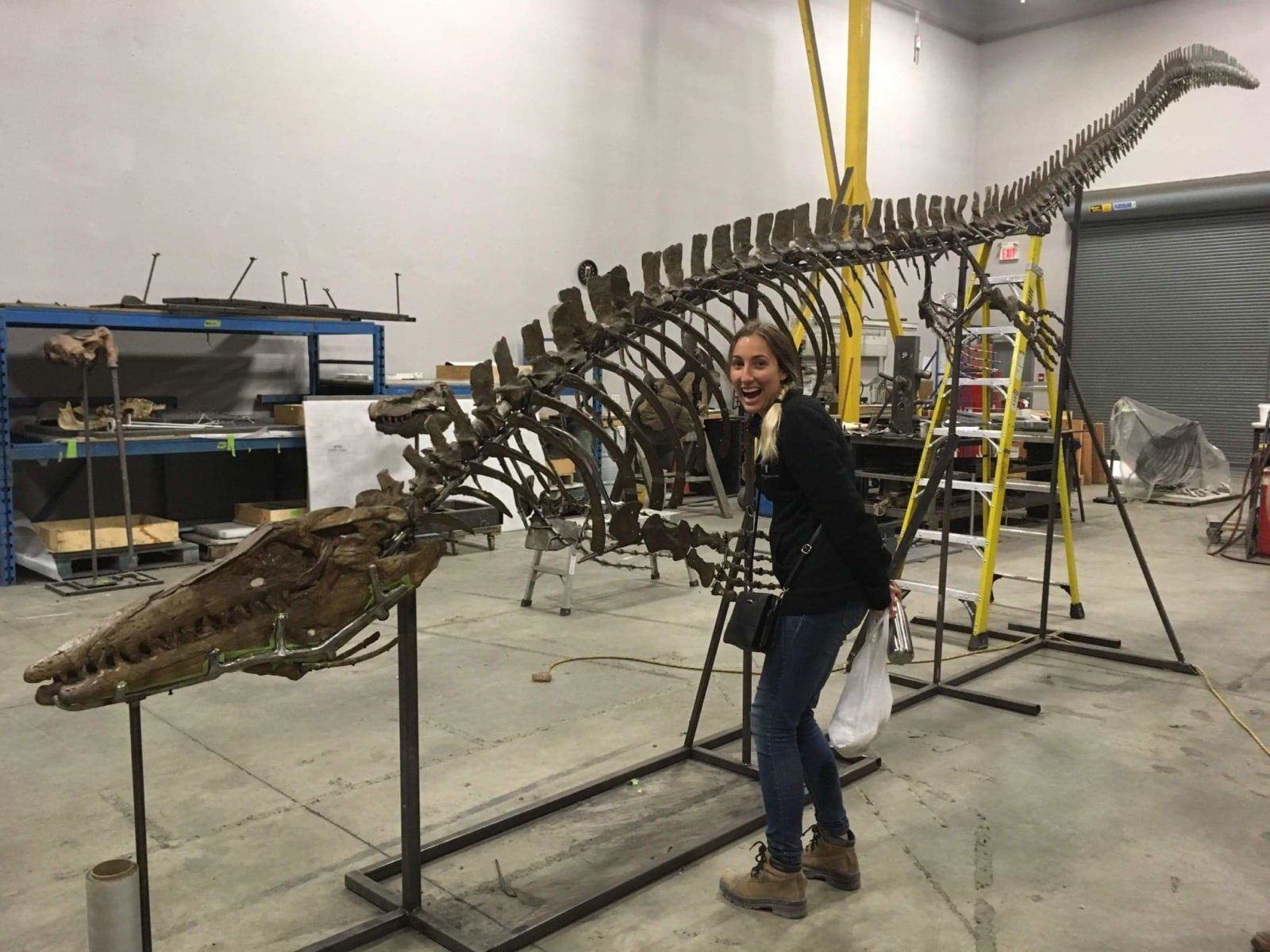 Deanna posing in front of a dinosaur skeleton excited about her new job working with fossils (before she became a professional photographer)